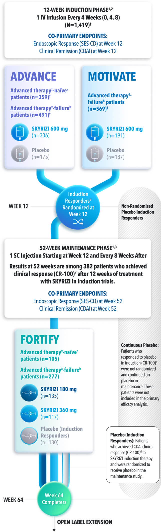 The SKYRIZI efficacy study involved a 12-week induction phase followed by a 52-week maintenance phase. In the Advance and Motivate studies, patients received either SKYRIZI 600 mg or a placebo, with primary endpoints being endoscopic response and clinical remission at Week 12. Responders were then randomized for the Fortify study, where they received SKYRIZI 180 mg, 360 mg, or placebo for 52 weeks. The study also includes an open-label extension for Week 64 completers